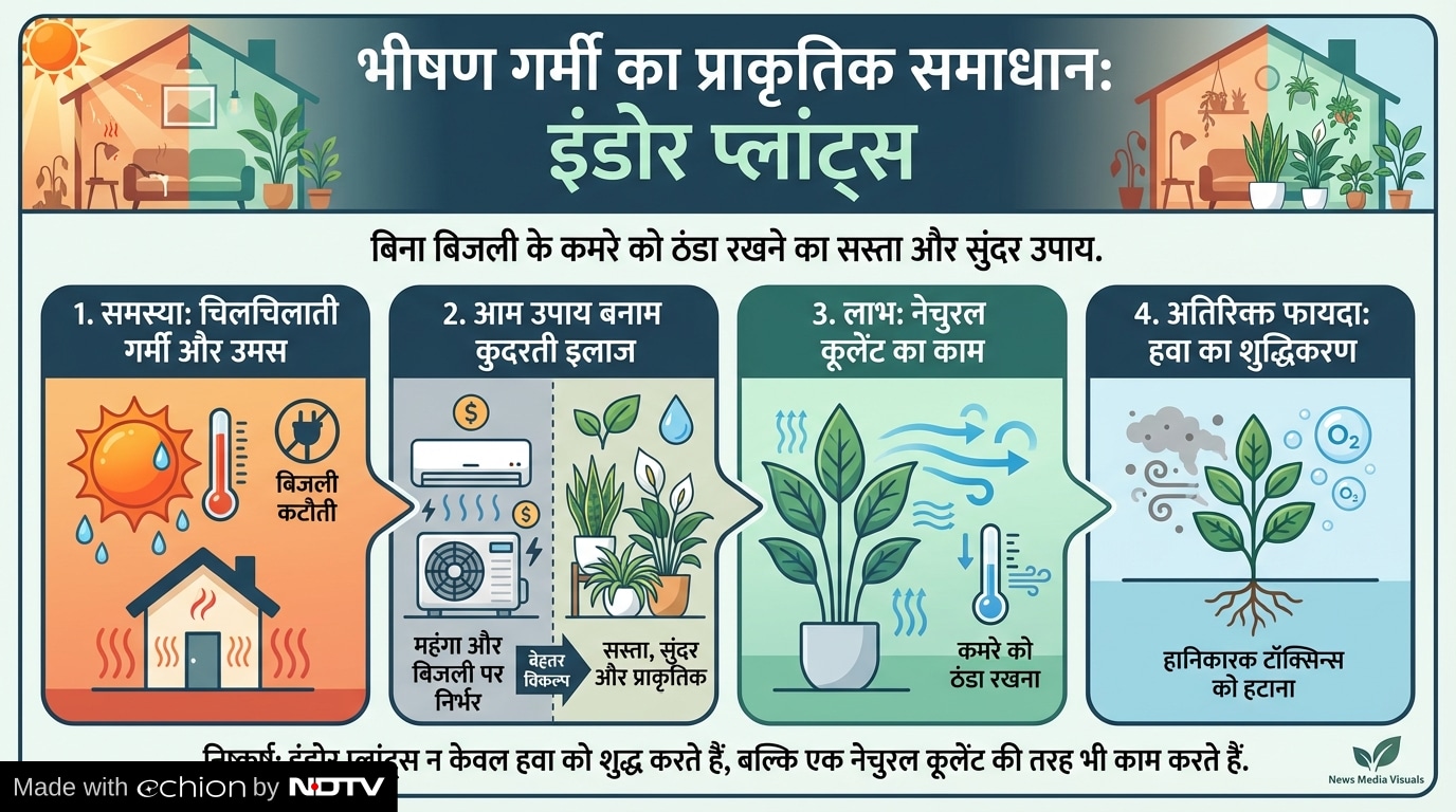 Latest and Breaking News on NDTV