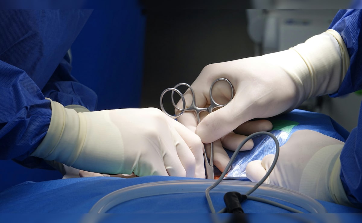 Latest and Breaking News on NDTV