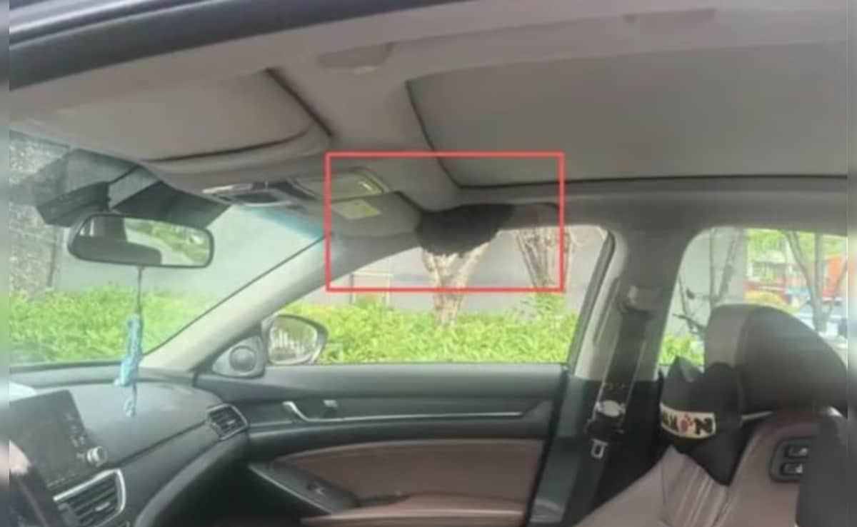 Latest and Breaking News on NDTV