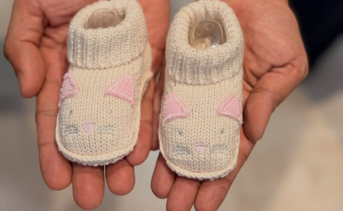 तीन IVF रहे फेल, मिसकैरेज से बुरी तरह टूटी बिग बॉस एक्ट्रेस बनने वाली है मां, फोटो शेयर कर दी गुड न्यूज