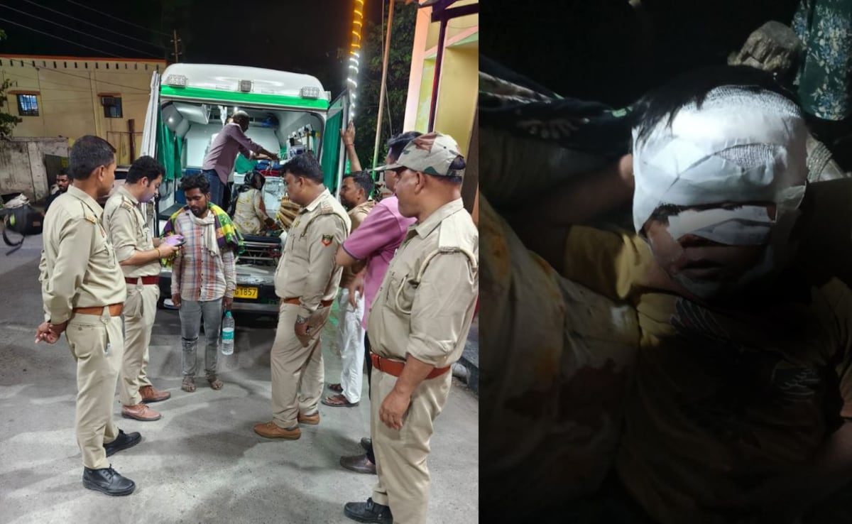 मुरादाबाद में 3 साल के मासूम पर तेंदुए का हमला, सुपर मॉम-पिता ने लेपर्ड के जबड़े से बेटे को बचाया, गांव में दहशत का माहौल