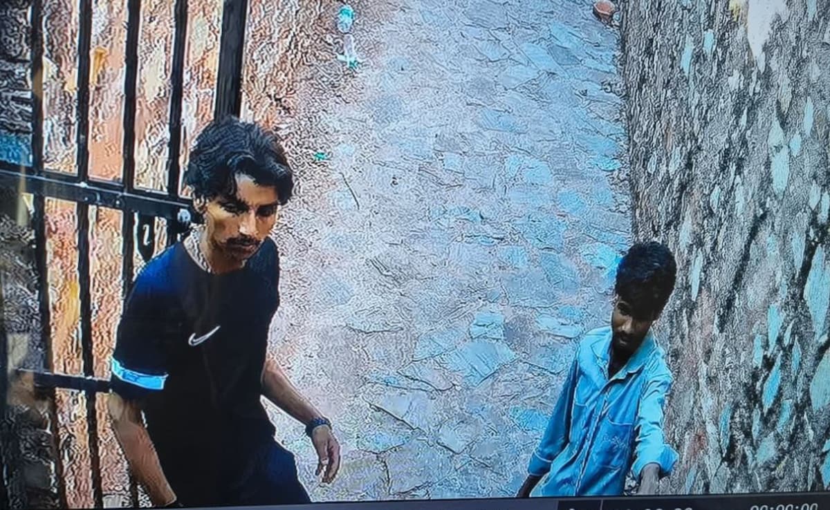 The Art of Baking: From Classic Bread to Artisan Pastries