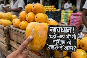 असली और नकली आम की पहचान कैसे करें? डॉक्टर ने बताया आम खरीदने से पहले इन बातों का रखें ध्यान