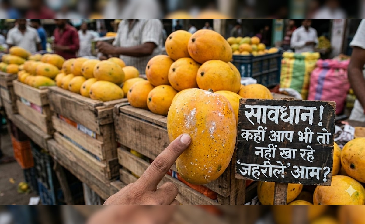 असली और नकली आम की पहचान कैसे करें? डॉक्टर ने बताया आम खरीदने से पहले इन बातों का रखें ध्यान