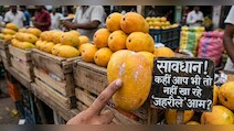 असली और नकली आम की पहचान कैसे करें? डॉक्टर ने बताया आम खरीदने से पहले इन बातों का रखें ध्यान
