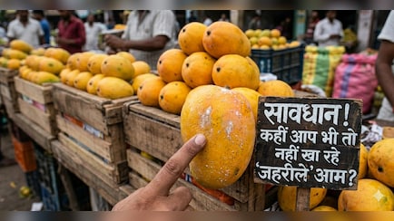 असली और नकली आम की पहचान कैसे करें? डॉक्टर ने बताया आम खरीदने से पहले इन बातों का रखें ध्यान