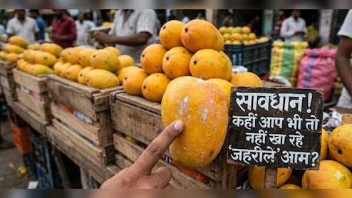 असली और नकली आम की पहचान कैसे करें? डॉक्टर ने बताया आम खरीदने से पहले इन बातों का रखें ध्यान