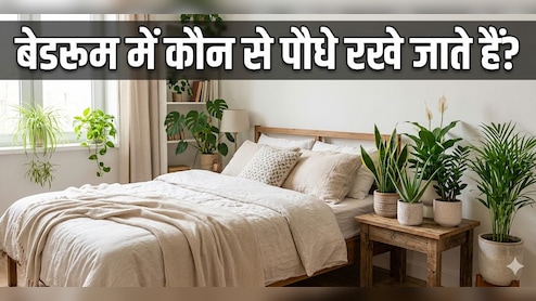 भयंकर गर्मी में बेडरूम को नेचुरली ठंडा रखेंगे ये प्लांट्स, बिल आएगा और हवा रहेगी शुद्ध!
