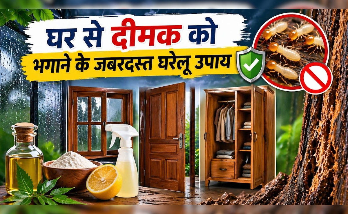 बारिश में घर की लकड़ी को खोखला कर देती है दीमक? इन कारगर घरेलू उपायों से बचाएं खिड़की-दरवाजे और अलमारी