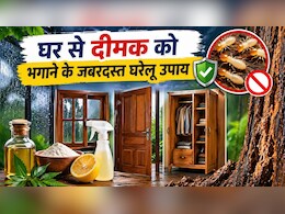 बारिश में घर की लकड़ी को खोखला कर देती है दीमक? इन कारगर घरेलू उपायों से बचाएं खिड़की-दरवाजे और अलमारी