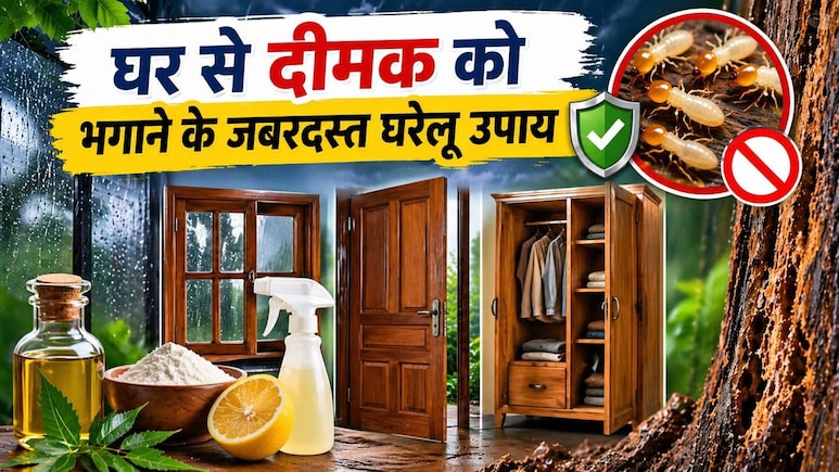 बारिश में घर की लकड़ी को खोखला कर देती है दीमक? इन कारगर घरेलू उपायों से बचाएं खिड़की-दरवाजे और अलमारी