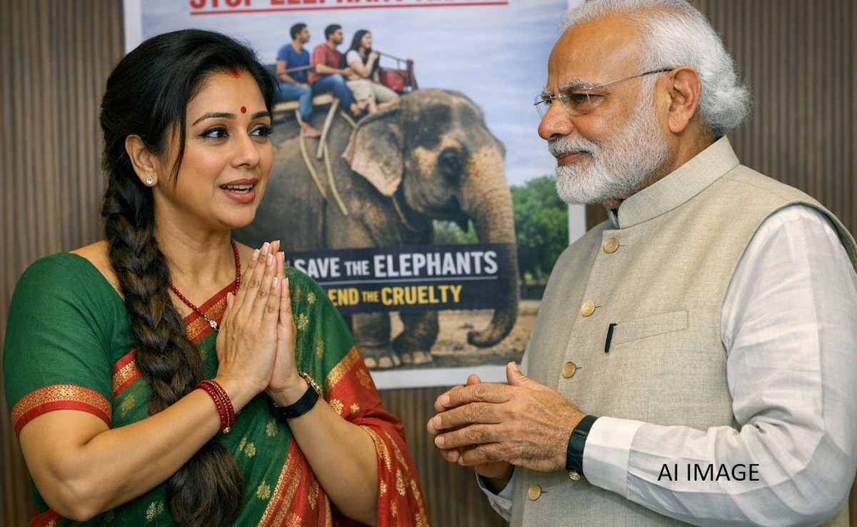 पीएम मोदी से 'अनुपमा' की गुहार- प्लीज हाथी की सवारी बंद कराएं, जयपुर के पिंक हाथी पर कही ये बात