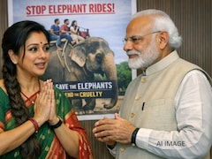 'अनुपमा' की पीएम मोदी से गुहार- प्लीज हाथी की सवारी बंद करें, जयपुर के पिंक हाथी पर कही ये बात