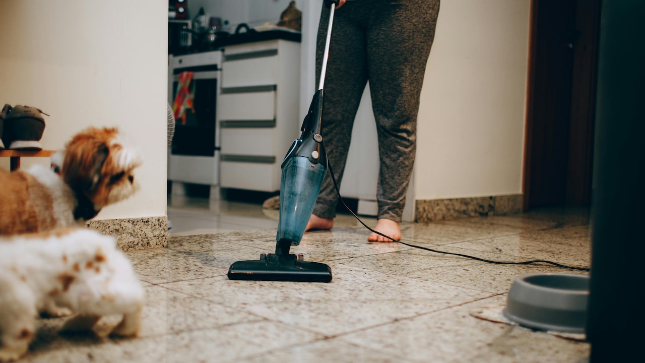 Top 5 Steam Mops That Clean Floors Without Harsh Chemicals