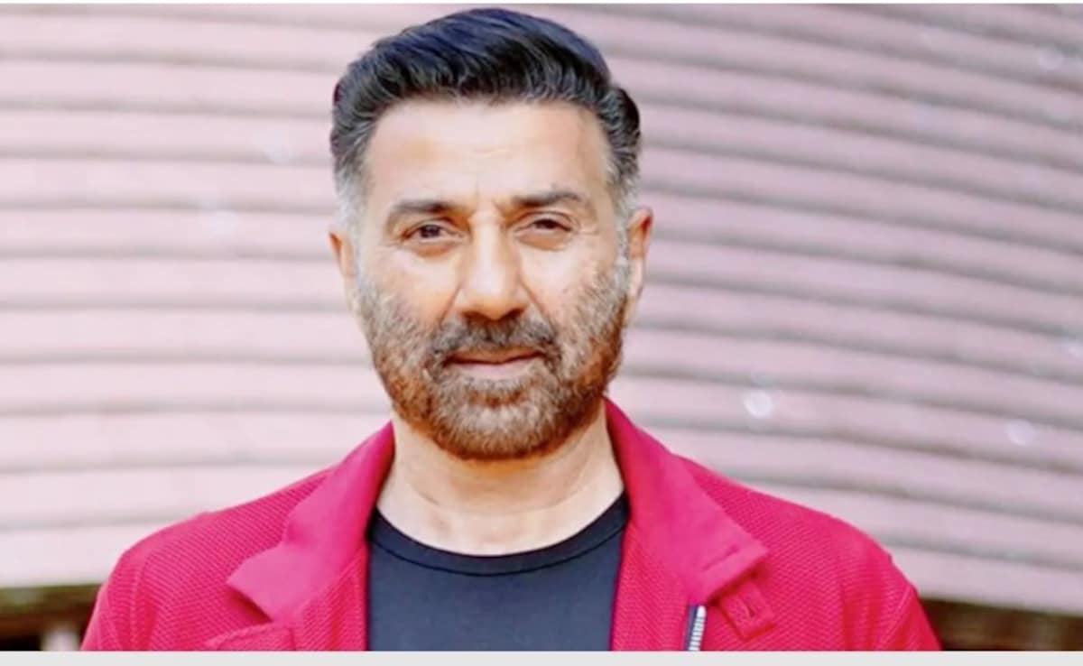 'बॉर्डर 2' के बाद अब सनी देओल करेंगे बॉक्स ऑफिस पर धमाका, 'एंटनी' में ताबड़तोड़ एक्शन करेंगे सनी पाजी