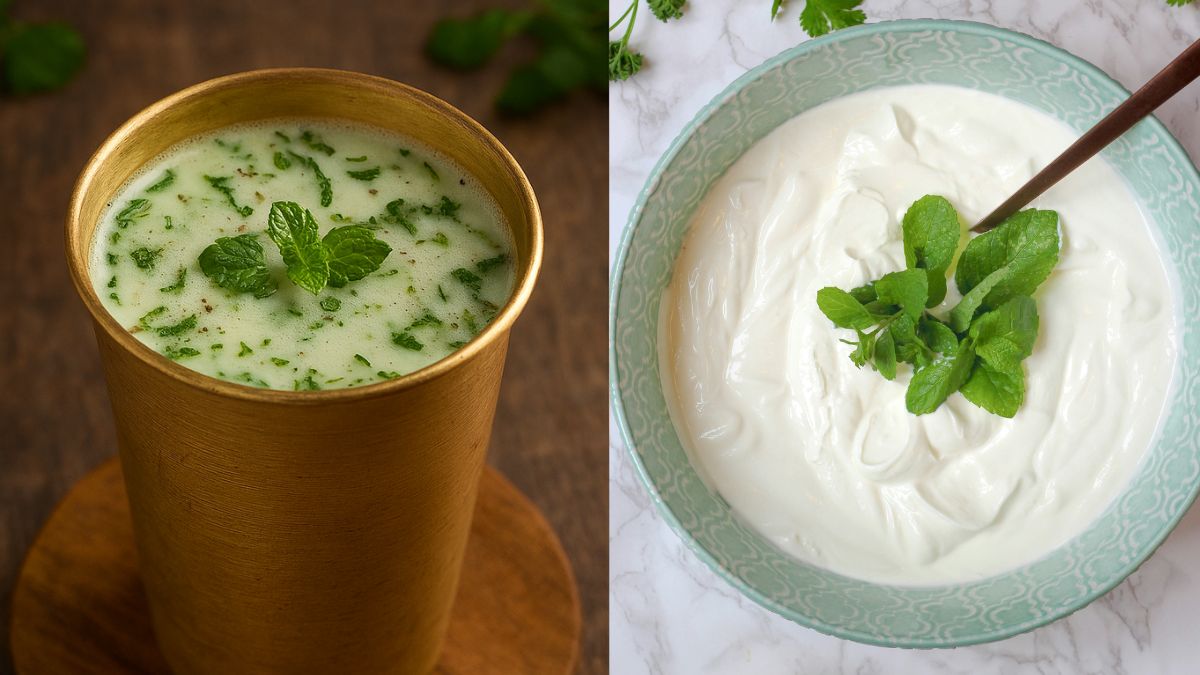 Curd Or Chaas, Which Is Easier On The Gut In Summer? Nutritionist Explains