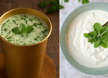 Curd Or Chaas, Which Is Easier On The Gut During Summer? Nutritionist Explains