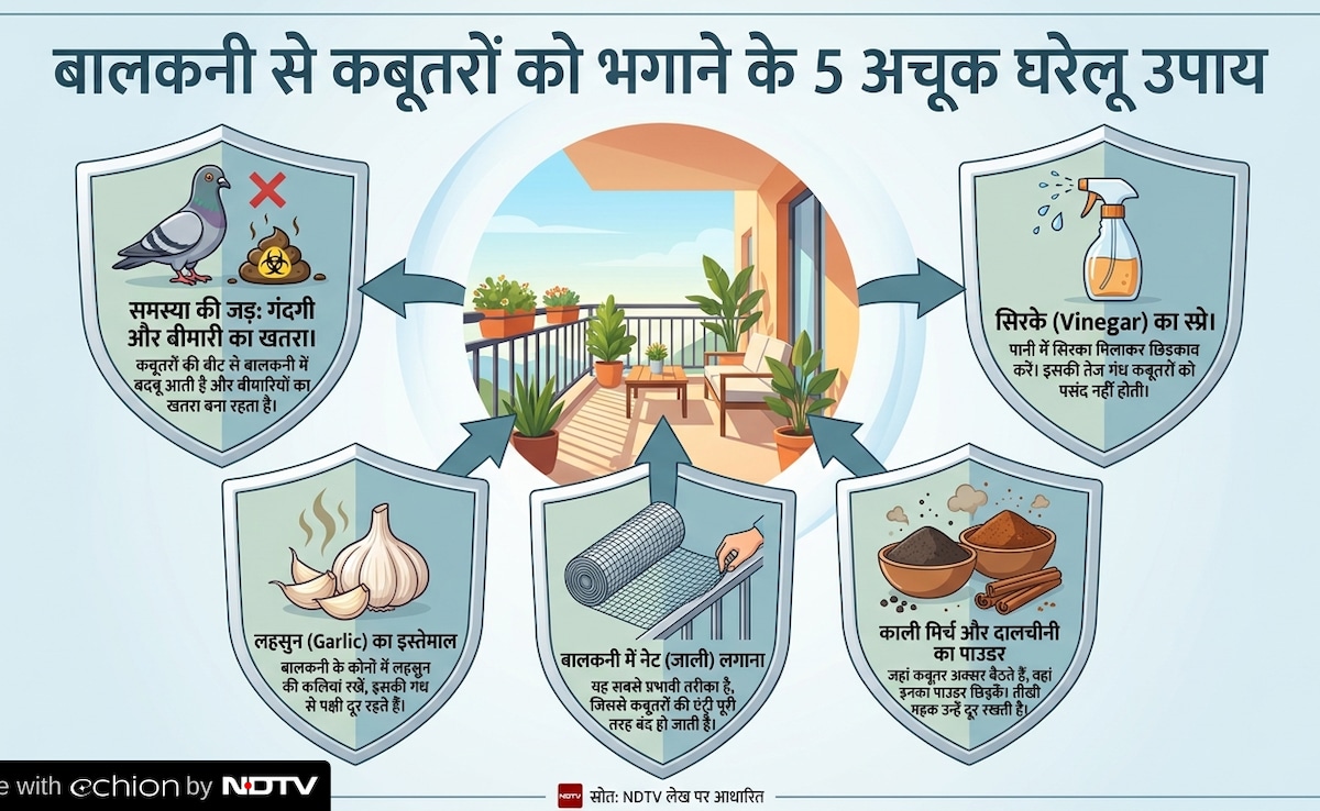 Latest and Breaking News on NDTV