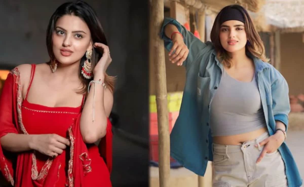 दिव्यांका सिरोही की मौत का रहस्य: अजीत की मौत के बाद टूट गई थीं मॉडल, बहन ने बताया आखिरी दिनों का सच