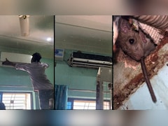 सावधान! आपके AC में भी हो सकता है ऐसा 'किरायेदार', मैकेनिक ने खोला तो निकल गई चीखें