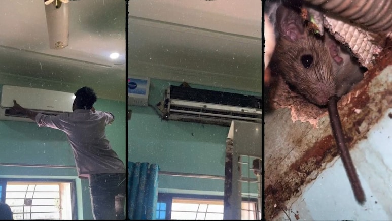 सावधान! आपके AC में भी हो सकता है ऐसा 'किरायेदार', मैकेनिक ने खोला तो निकल गई चीखें