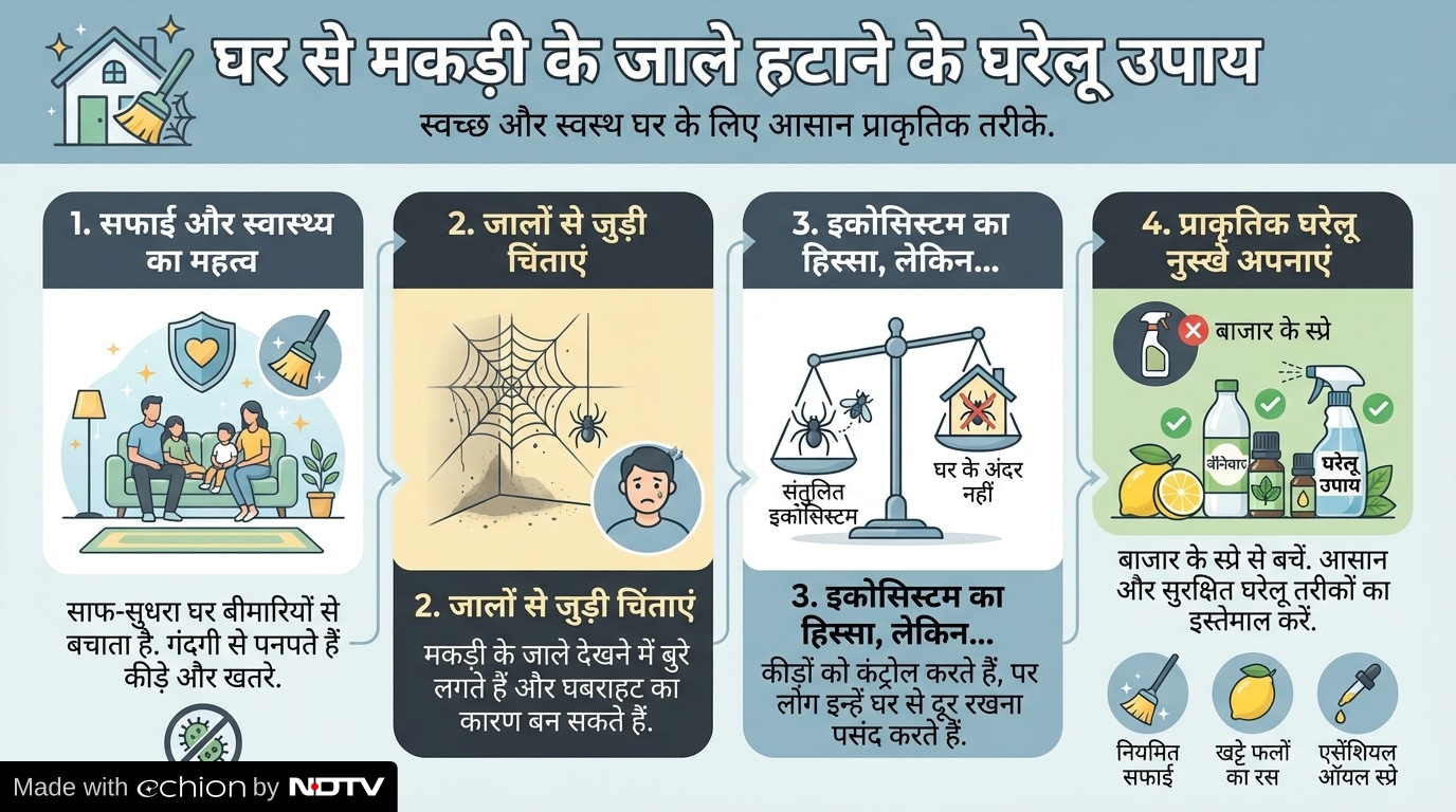 Latest and Breaking News on NDTV