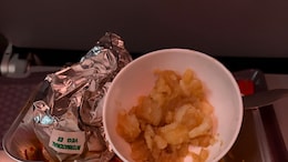 Air India Passenger Alleges Rotten Aloo Chaat Served On DelhiPune Flight, Airline Responds