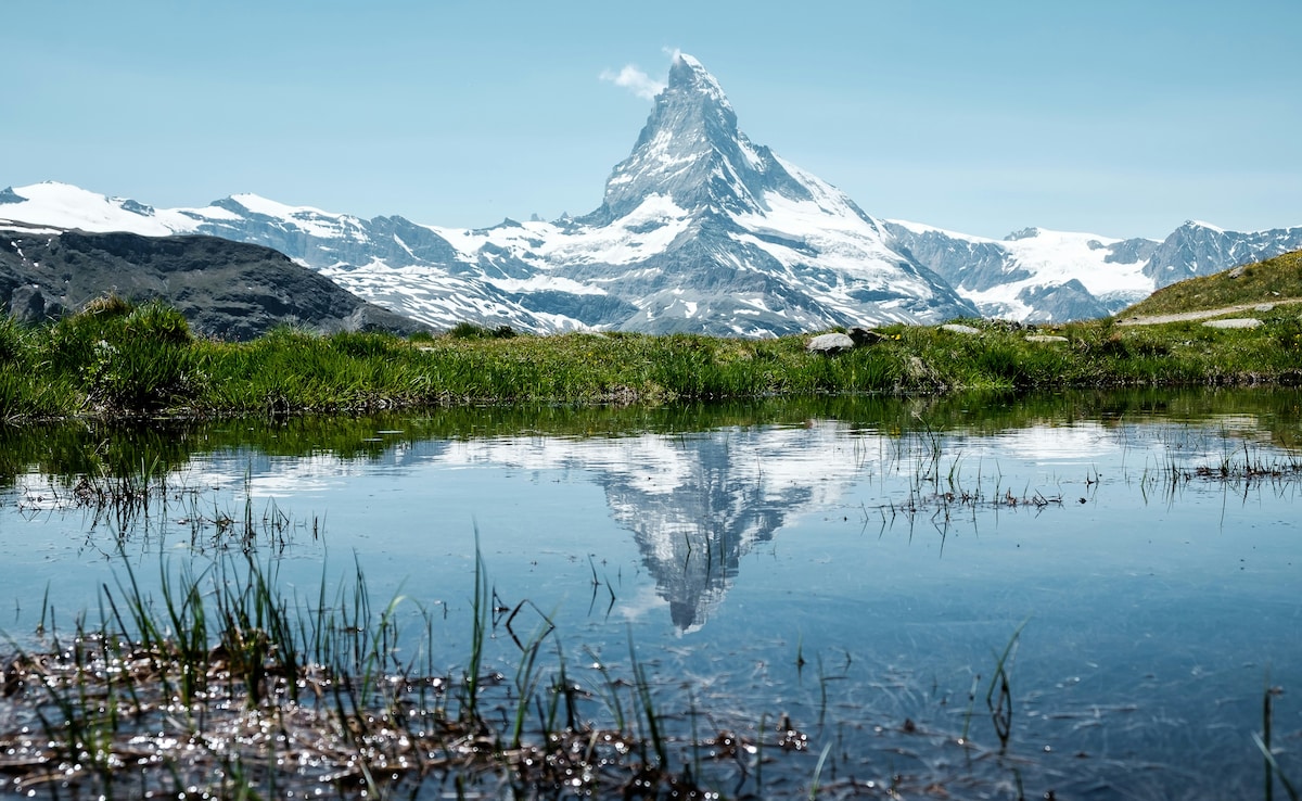 Latest and Breaking News on NDTV Latest and Breaking News on NDTV