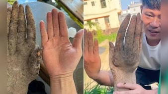 गजब! खेत में निकला 'इंसानी हाथ', किसान को मिली 1 लाख से ज्यादा की बोली, पर बंदे ने बेचने से कर दिया इनकार