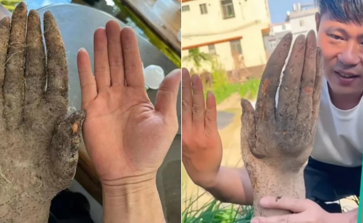 गजब! खेत में निकला 'इंसानी हाथ', किसान को मिली 1 लाख से ज्यादा की बोली, पर बंदे ने बेचने से कर दिया इनकार