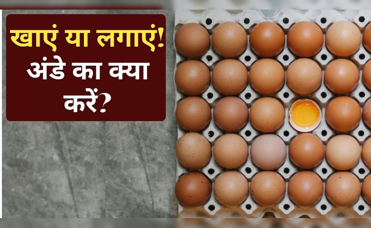 खाना या लगाना, बालों का झड़ना रोकने के लिए अंडे का क्या करना चाहिए, किसमें है ज्यादा फायदा...