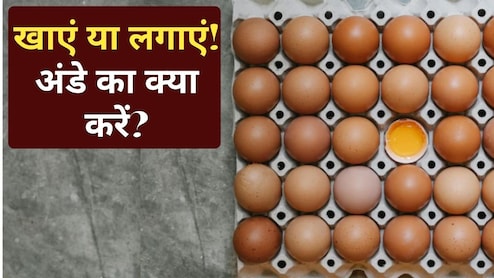 खाना या लगाना, बालों का झड़ना रोकने के लिए अंडे का क्या करना चाहिए, किसमें है ज्यादा फायदा...
