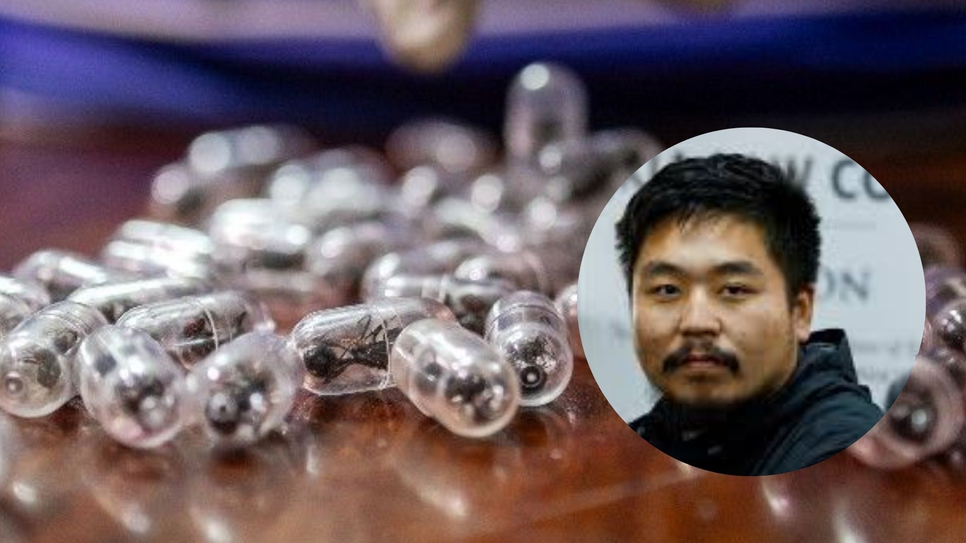 21 हजार की एक चींटी! केन्या में चीनी तस्कर को जेल, कैप्सूल में यूरोप बेचने ले जा रहा था हजारों जिंदा चींटियां