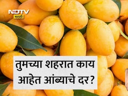 Hapus Mango Rate: बापरे! आंब्याचे दर 7 हजारापर्यंत पोहोचले, पुण्यासह तुमच्या जिल्ह्यात काय आहेत भाव? जाणून घ्या