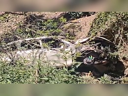 Himachal: पढ़ाई कर रहे बच्चों से मिलने शिमला आया था परिवार, खाई में गिरी कार, दो की दर्दनाक मौत