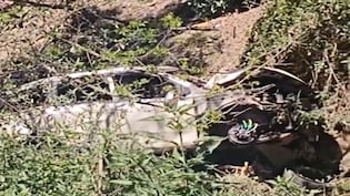 Himachal: पढ़ाई कर रहे बच्चों से मिलने शिमला आया था परिवार, खाई में गिरी कार, दो की दर्दनाक मौत