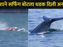 Viral Video :&nbsp;समुद्राच्या लाटांवर सुरू होती मस्ती, अचानक महाकाय व्हेल समोर आला,  त्यानंतर तरुणासोबत घडलं..