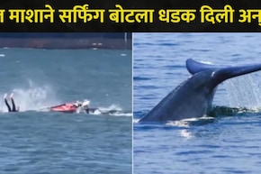 Viral Video :&nbsp;समुद्राच्या लाटांवर सुरू होती मस्ती, अचानक महाकाय व्हेल समोर आला,  त्यानंतर तरुणासोबत घडलं..