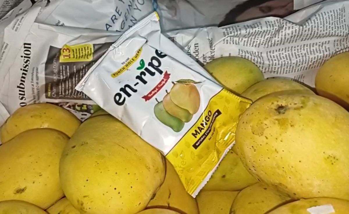200 kg Of Artificially Ripened Mangoes Seized In Hyderabad