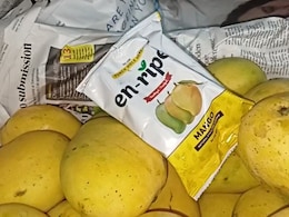 200 kg Of Artificially Ripened Mangoes Seized In Hyderabad, Fruit Trader Arrested