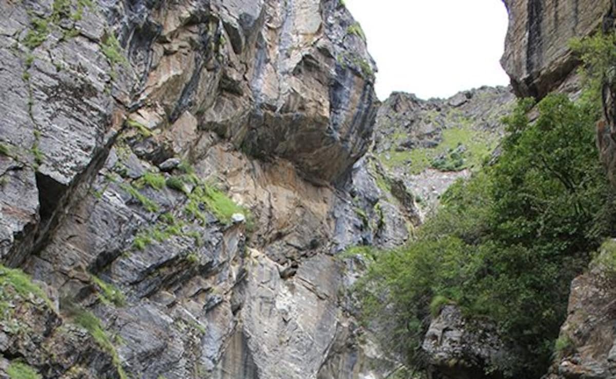 Latest and Breaking News on NDTV