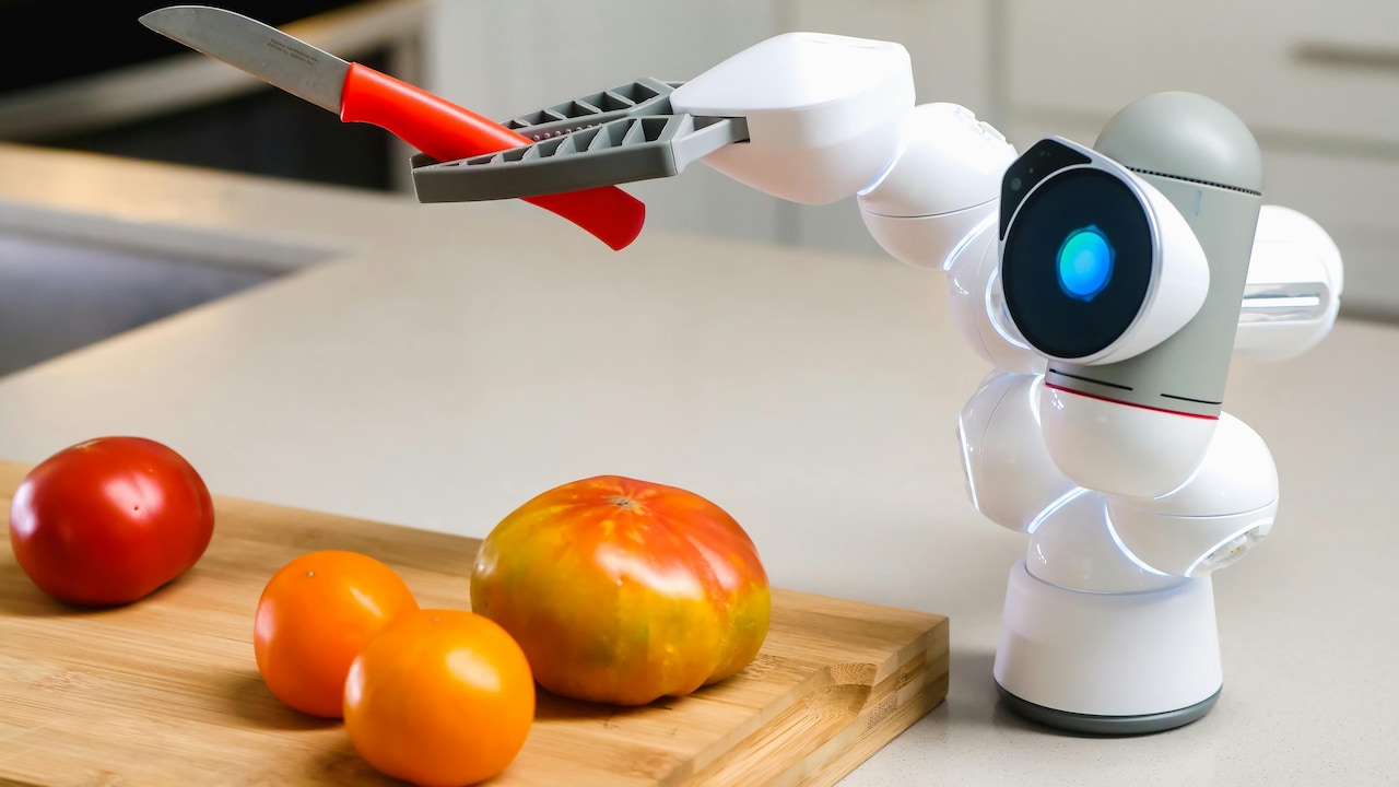 Stop Replacing Kitchen Gadgets: How to Choose Tools That Last for Years