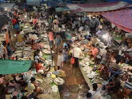 मछली पर बंगाल में राजनीति बढ़ी, लेकिन खपत घटी, बंगालियों के नॉनवेज प्रेम पर चौंकाने वाले आंकड़े