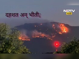 Pune News: पुरंदरच्या जंगलात भयंकर घडलं, दिड हजार एकरवर तांडव, शेतकरी वर्गात मोठी दहशत