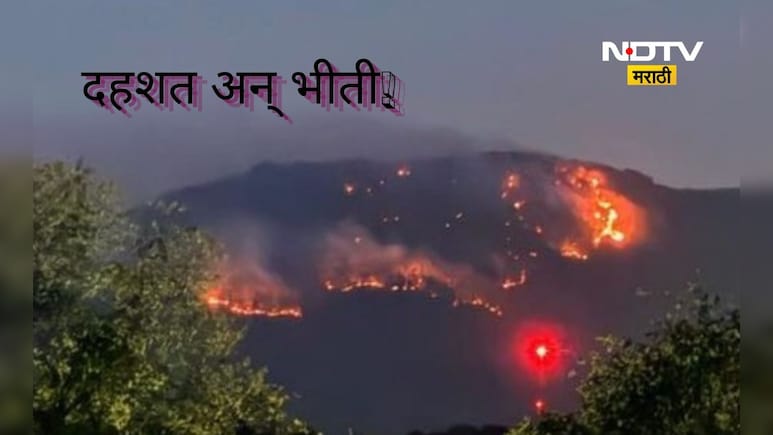 Pune News: पुरंदरच्या जंगलात भयंकर घडलं, दिड हजार एकरवर तांडव, शेतकरी वर्गात मोठी दहशत