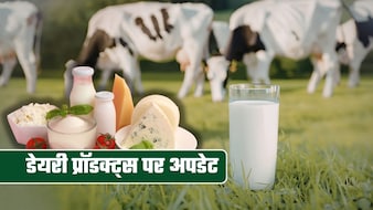 दूध-दही, बटर-पनीर के दाम क्‍या बढ़ने वाले हैं? युद्ध के बीच सरकार ने दिया अपडेट