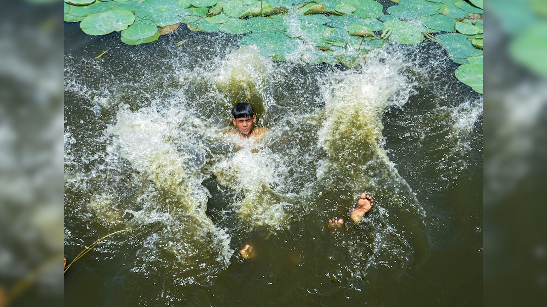 Heat Wave Warning: Hot Conditions To Prevail In Delhi, NCR; Check IMD's Alert For States
