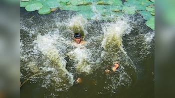 Heat Wave Warning: Hot Conditions To Prevail In Delhi, NCR; Check IMD's Alert For States