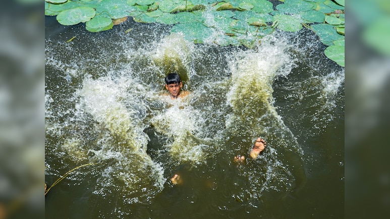 Heat Wave Warning: Hot Conditions To Prevail In Delhi, NCR; Check IMD's Alert For States