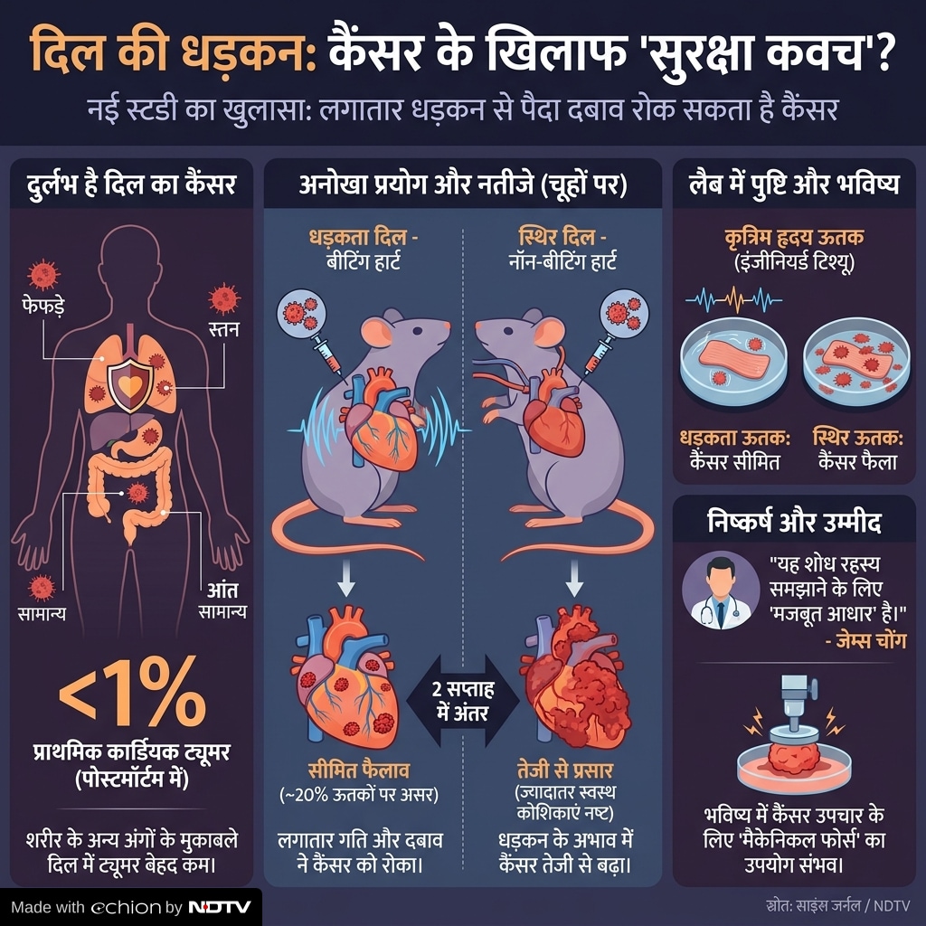 Latest and Breaking News on NDTV